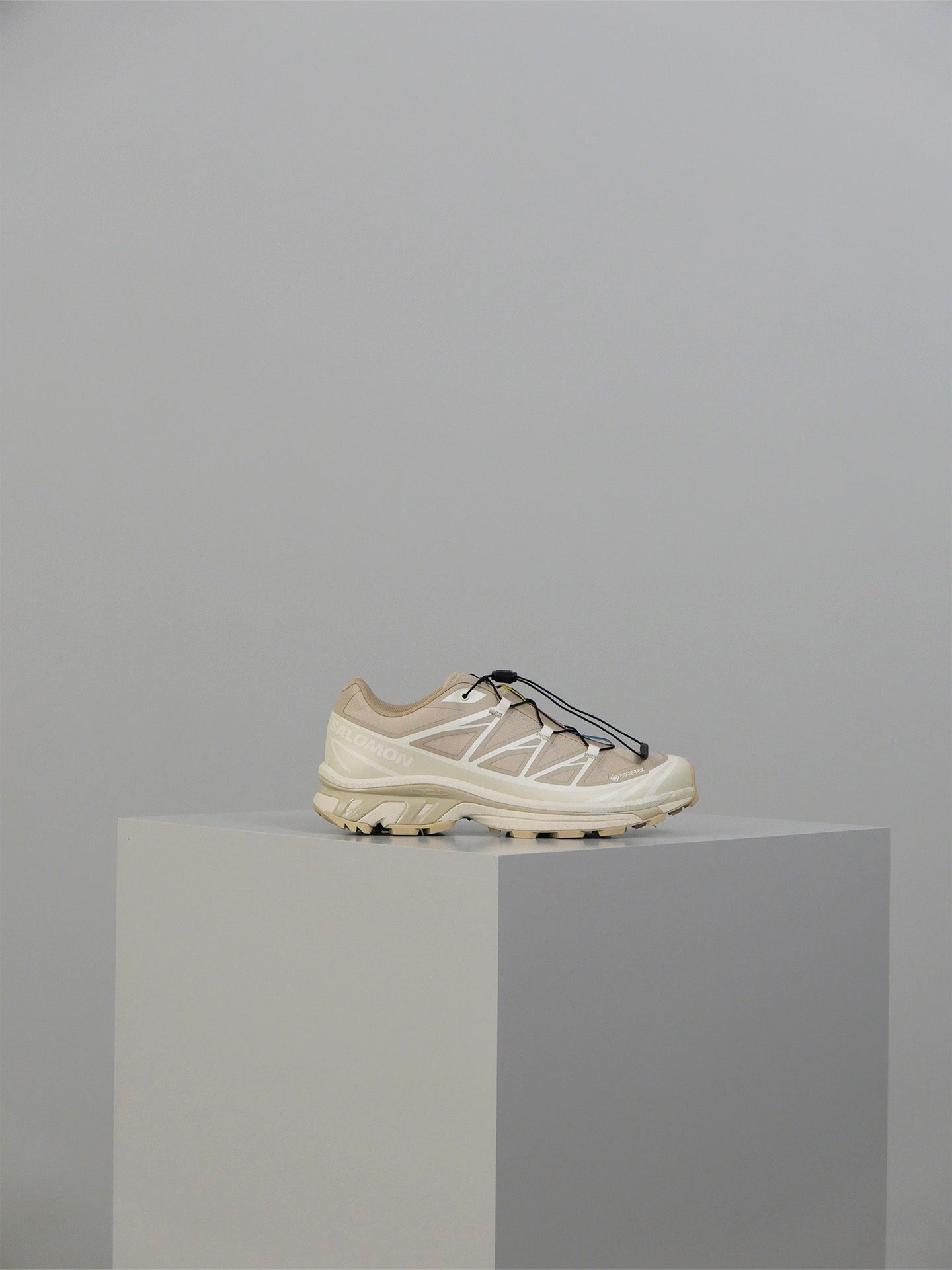 XT-6 GTX - Oxford Tan/Almond Milk/Safari