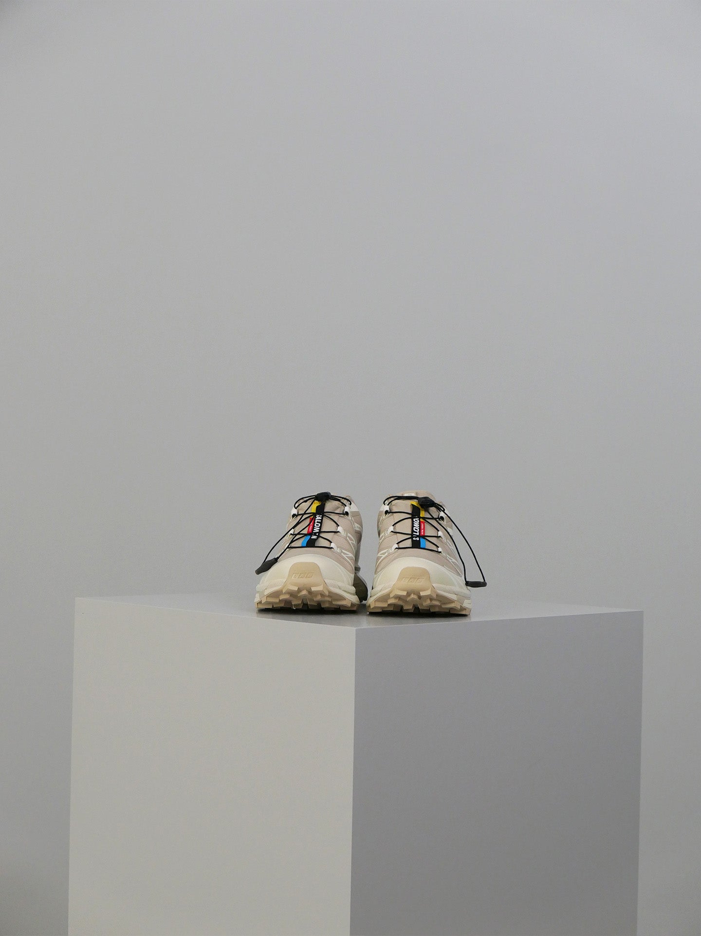 XT-6 GTX - Oxford Tan/Almond Milk/Safari