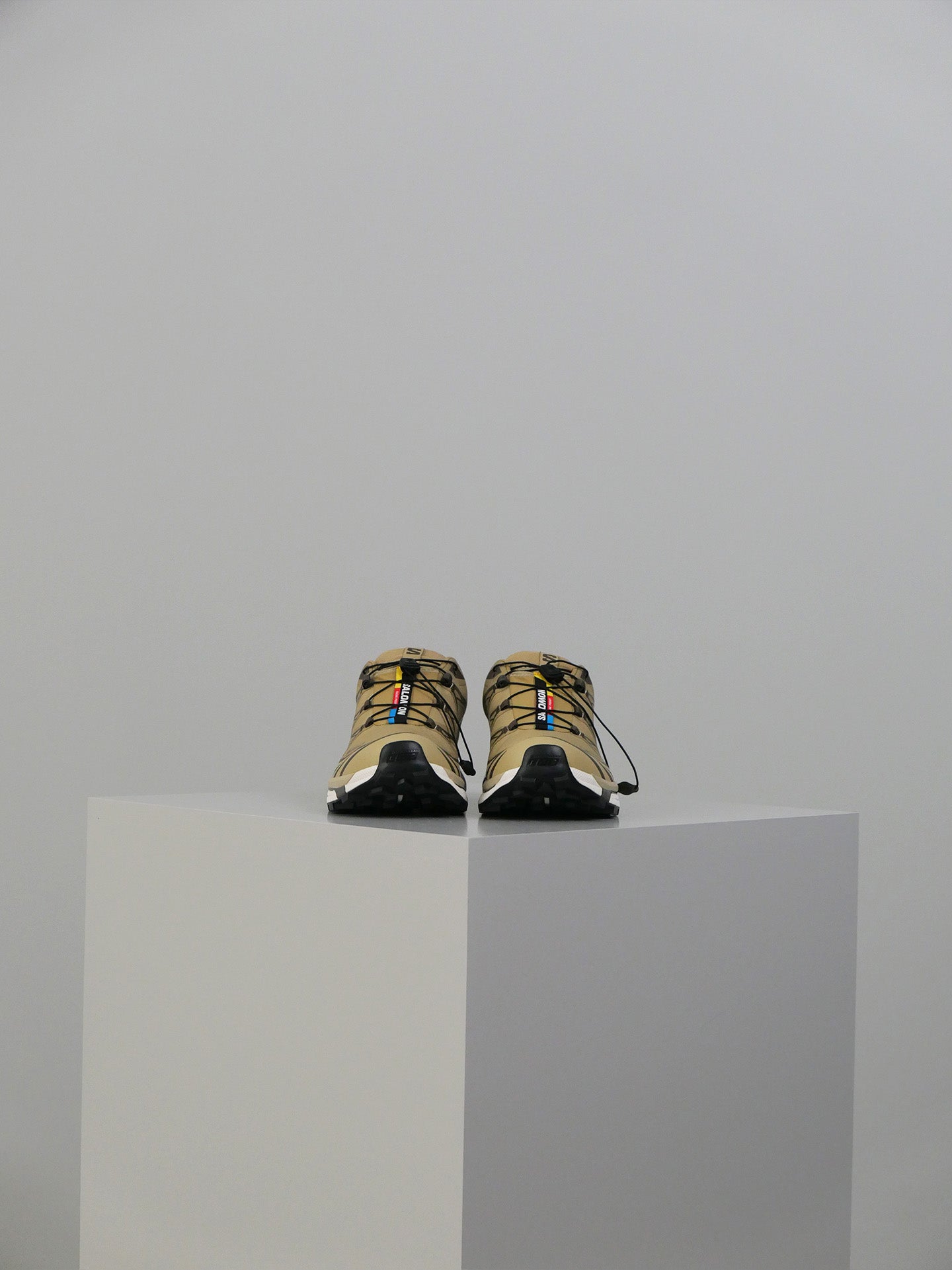 XT-6 GTX - Kelp/Wren/Safari