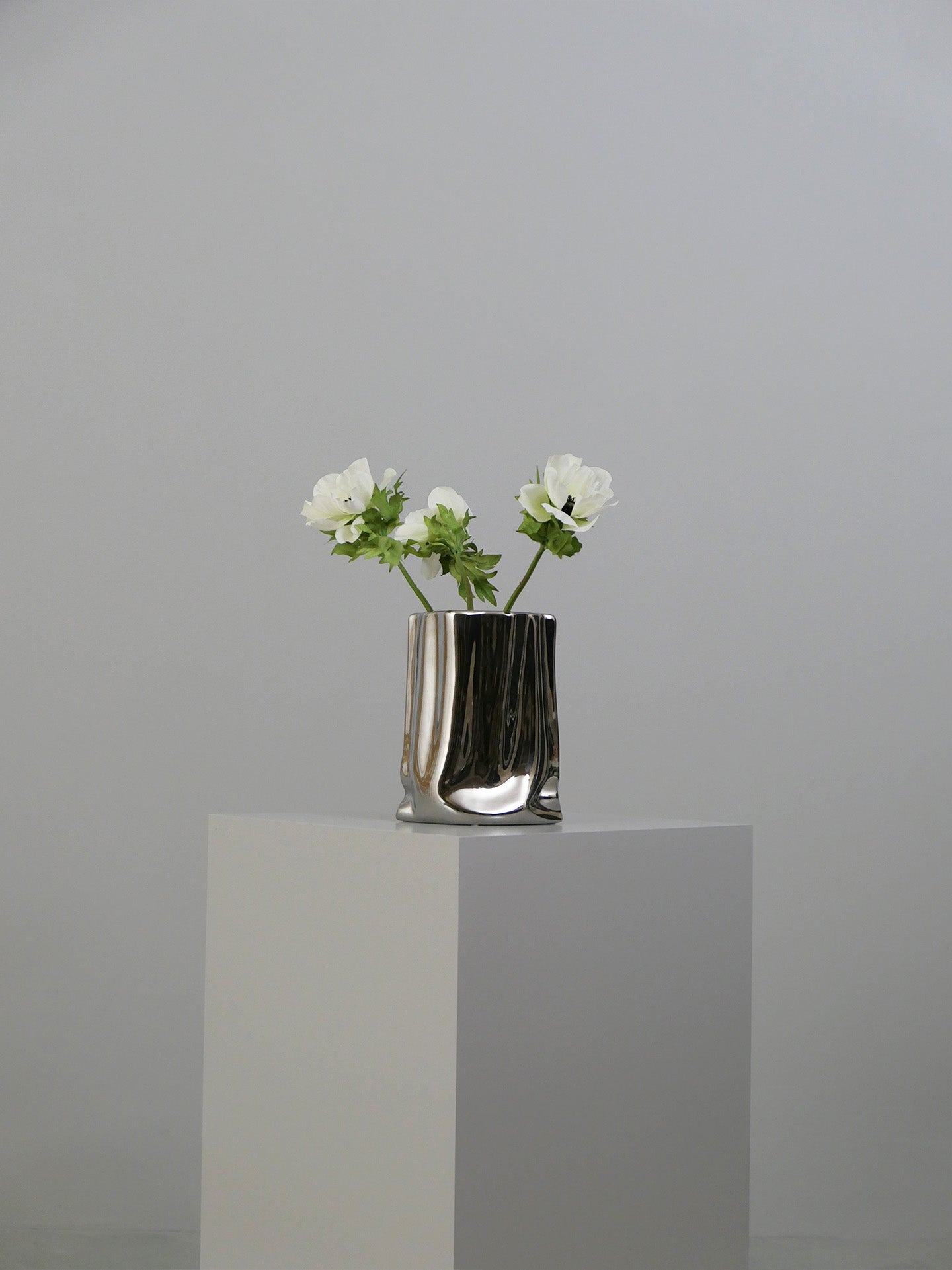 Anemone Flower - White