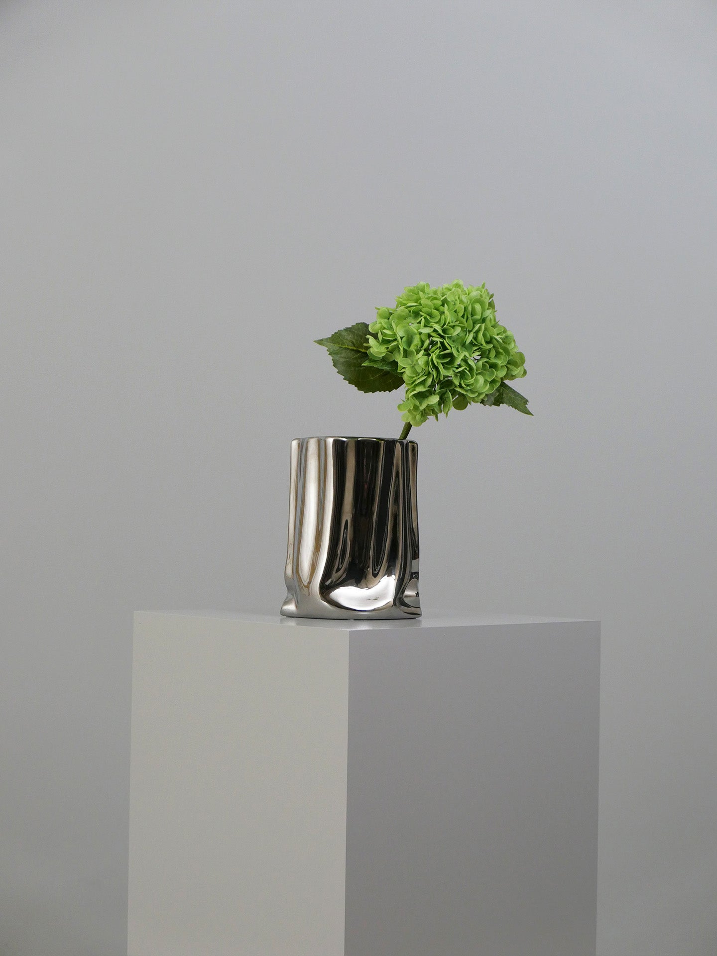 Hydrangea Flower - Green