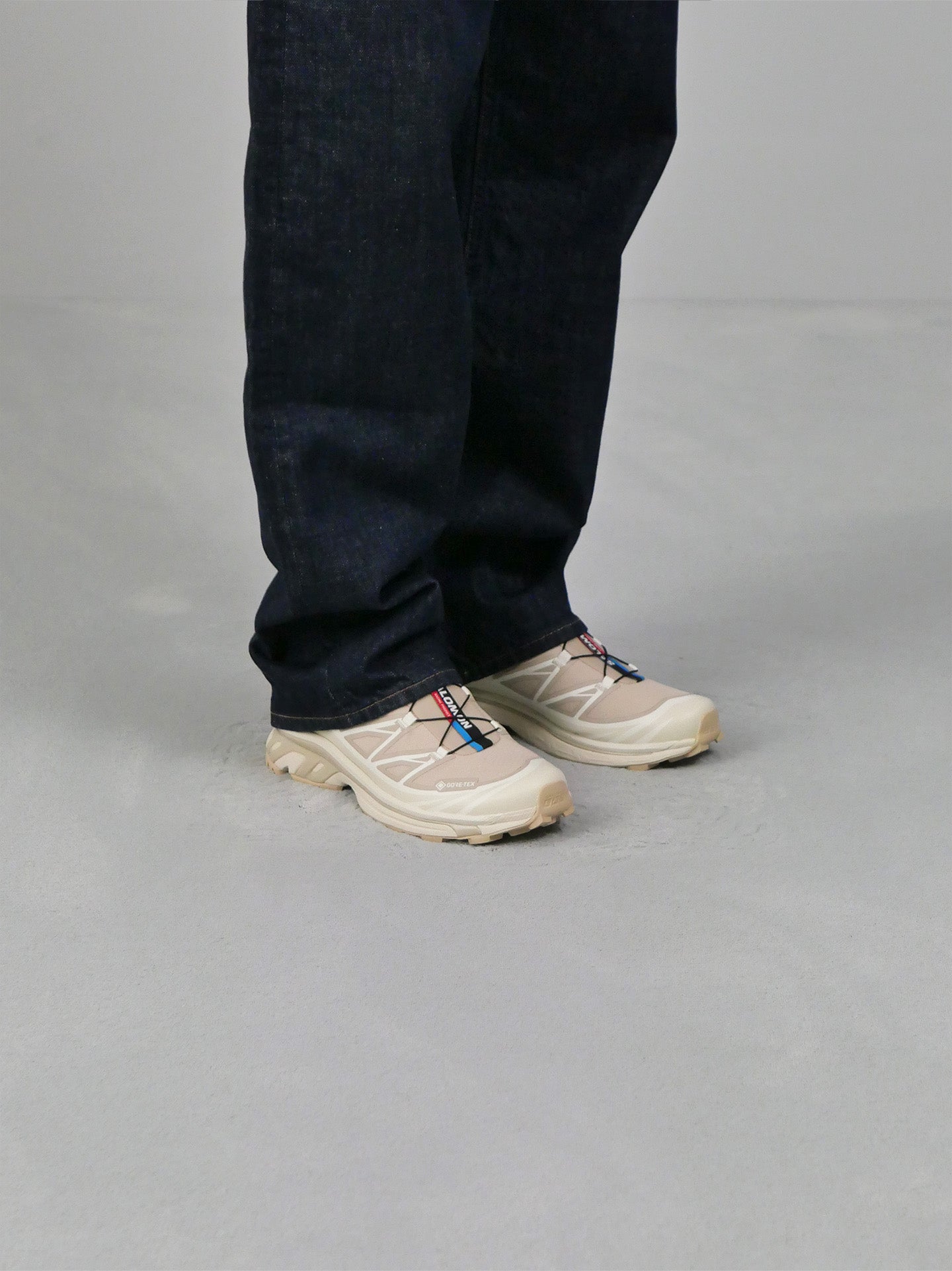 XT-6 GTX - Oxford Tan/Almond Milk/Safari