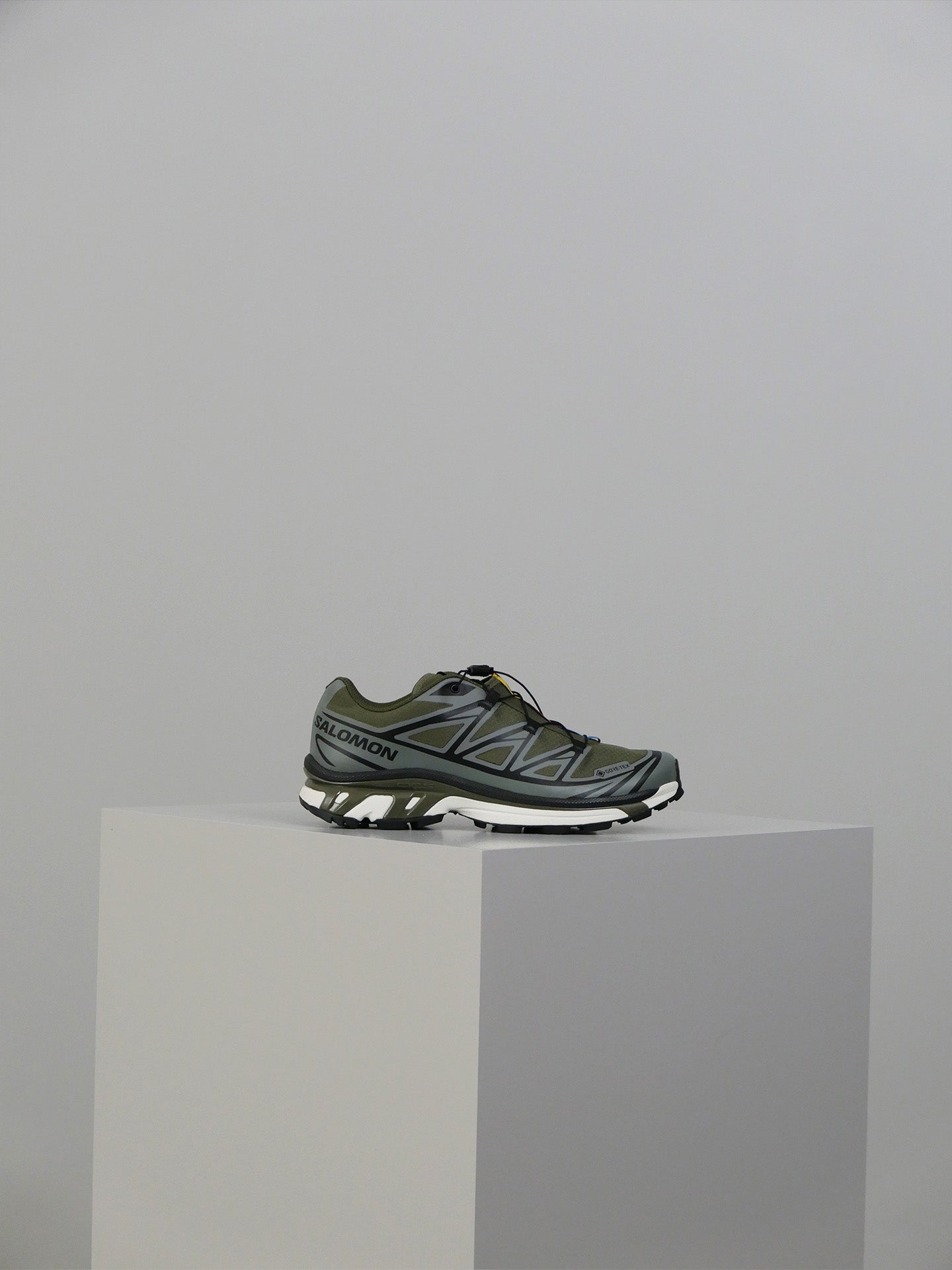 XT-6 GTX - Olive Night/Sedona Sage/Black