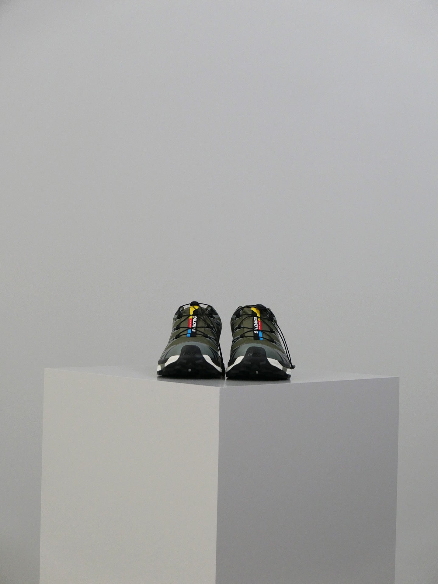 XT-6 GTX - Olive Night/Sedona Sage/Black