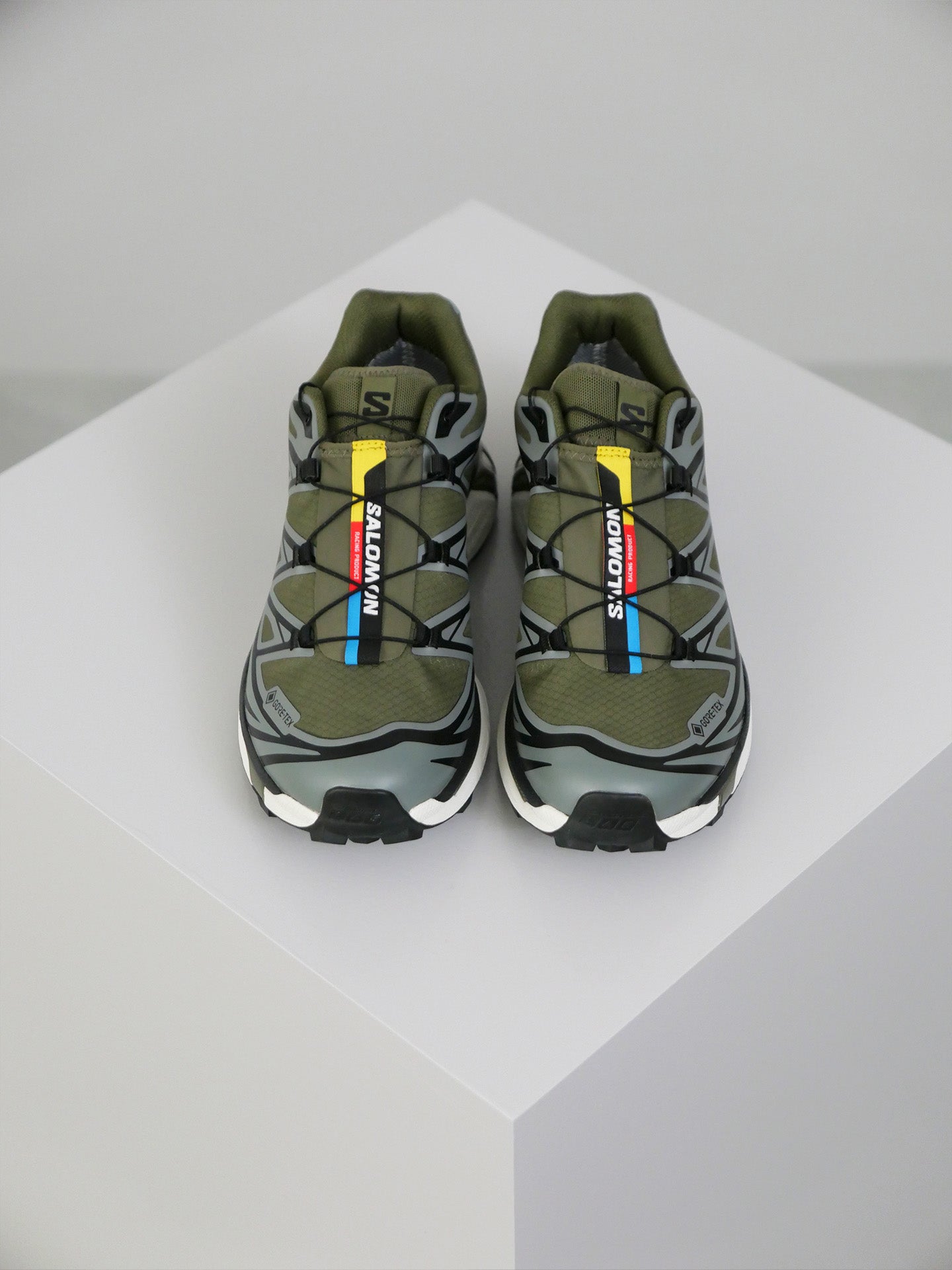 XT-6 GTX - Olive Night/Sedona Sage/Black