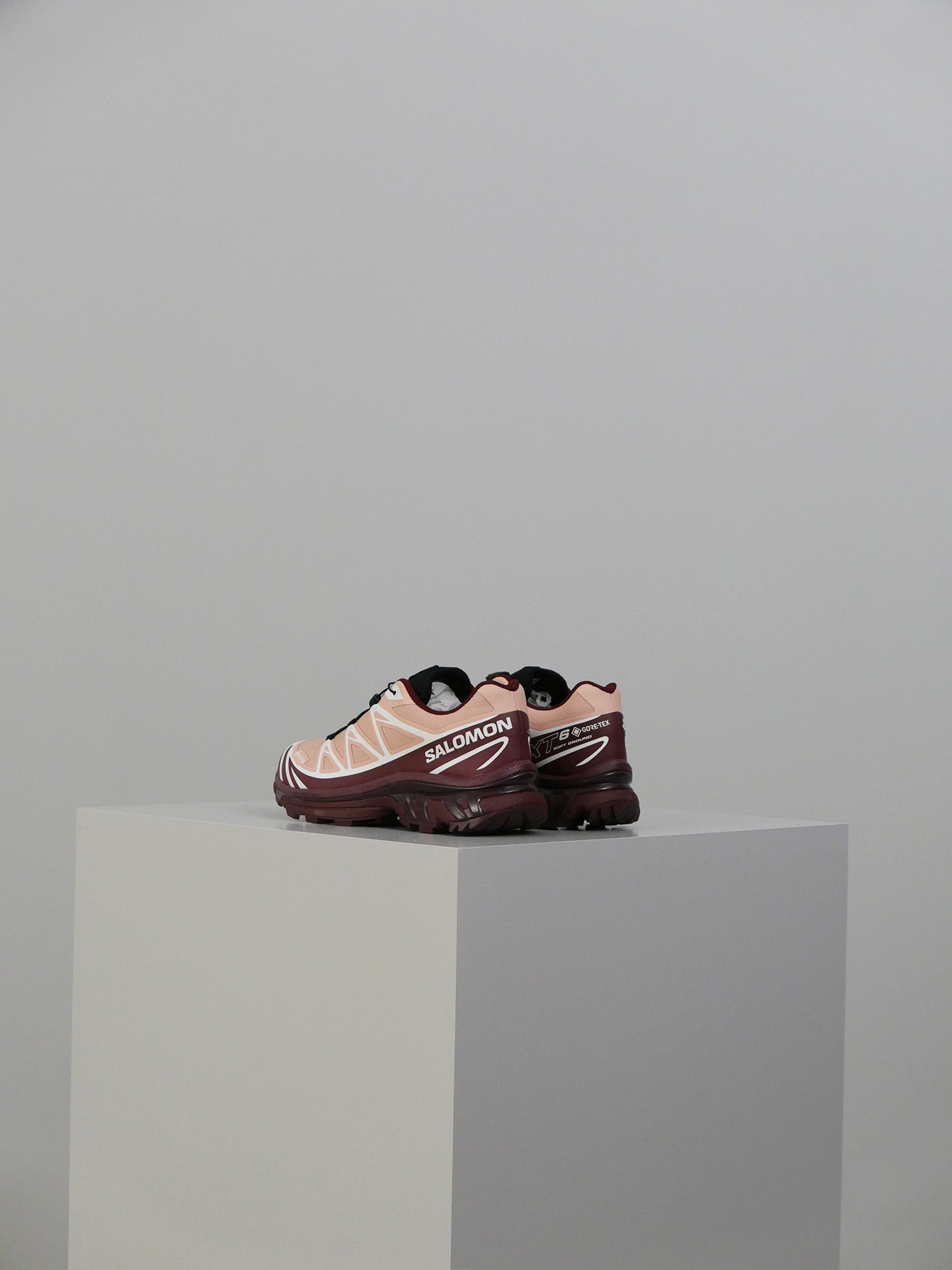 XT-6 GTX - Mahogany Rose/Tawny Port/Black