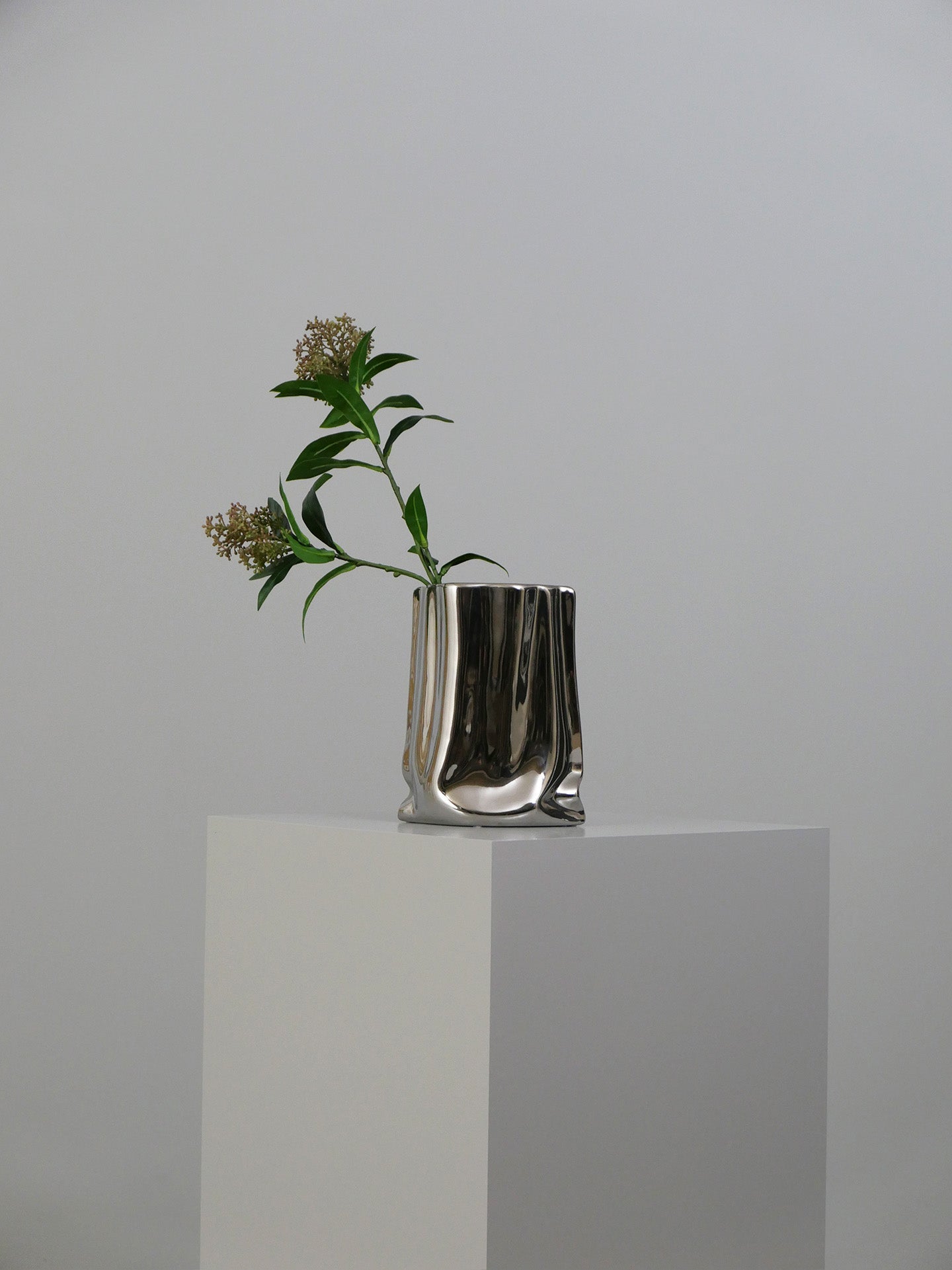 Skimmia Berry Branch - Rose